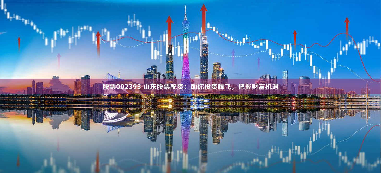 股票002393 山东股票配资：助你投资腾飞，把握财富机遇