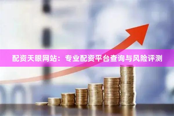 配资天眼网站：专业配资平台查询与风险评测