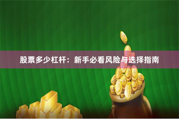 股票多少杠杆：新手必看风险与选择指南