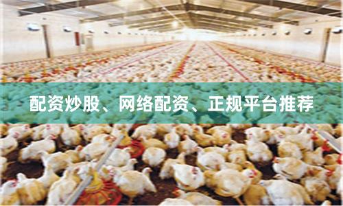 配资炒股、网络配资、正规平台推荐
