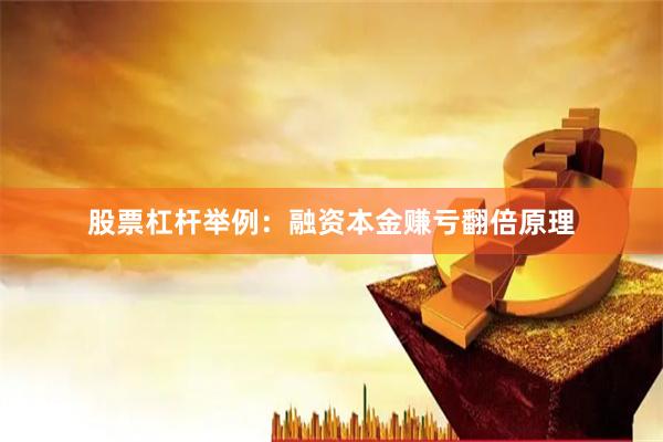 股票杠杆举例：融资本金赚亏翻倍原理